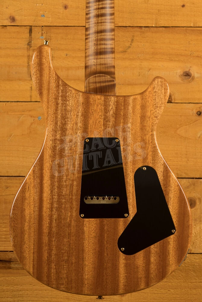 PRS Wood Library Custom 24 | Aquamarine - Left-Handed