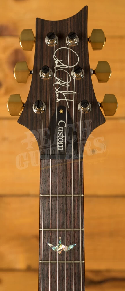 PRS Wood Library Custom 24 | Aquamarine - Left-Handed - Image 6