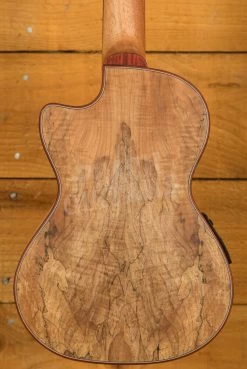 Cordoba 24 Series Ukes | 24T-CE Spruce Tenor Electro Ukulele - Natural