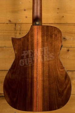 Cort Acoustics Frank Gambale LUXE Series | LUXE Nylon - Brown Glossy