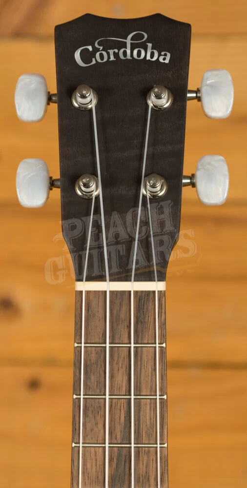 Cordoba 15 Series Ukes | 15CFM Concert Ukulele - Granite Grey - Image 5