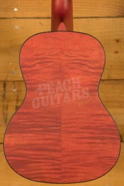 Cordoba 15 Series Ukes | 15CFM Concert Ukulele - Rose Red