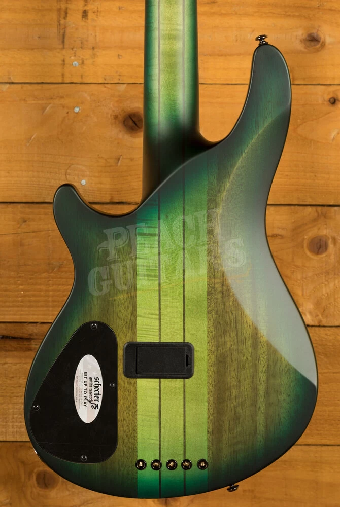 Schecter Bass Daniel Firth Hellraiser Extreme-5 | 5-String - Cthulhu Burst Satin