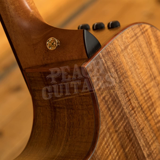 Taylor Custom | Custom #15 - GC 12-Fret *Used* - Image 7