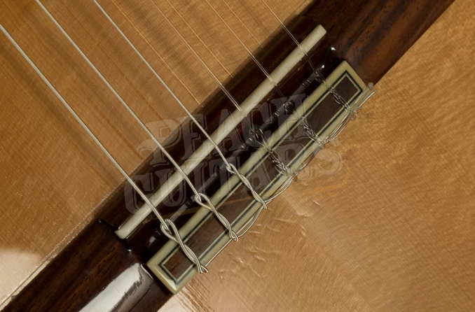 Cordoba Iberia GK Studio Negra | Electro - Natural - Used - Image 5