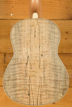 Fender Zuma Exotic Concert Ukulele | Spalted Maple