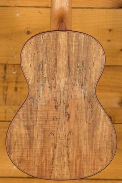 Cordoba 24 Series Ukes | 24T Spruce Tenor Ukulele - Natural