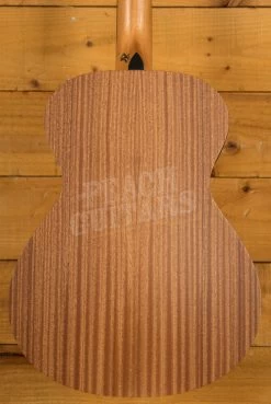 Taylor Academy Series | Academy 12e-N - Nylon