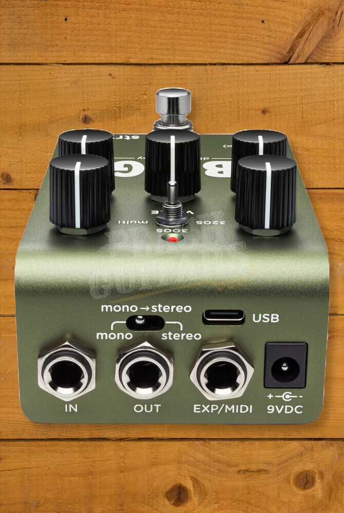 Strymon Brig | DBucket Delay