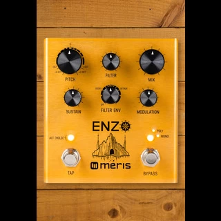 Meris Enzo | Multi-Voice Instrument Synthesizer